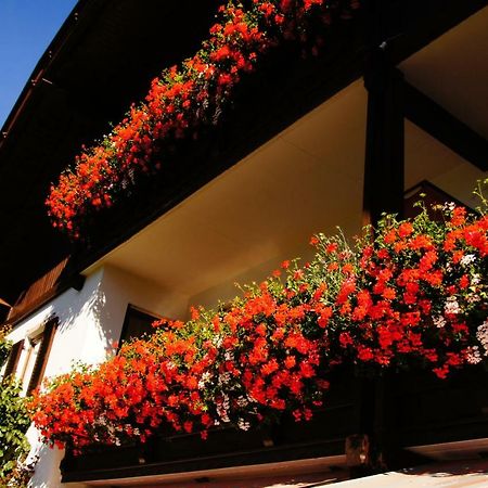 Pension Appartement Santl Antholz Niedertal Exterior foto