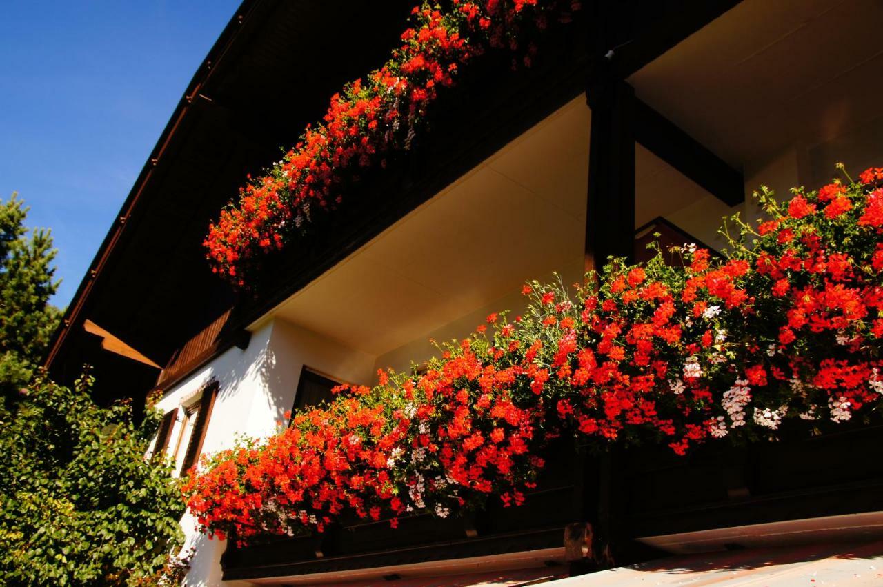 Pension Appartement Santl Antholz Niedertal Exterior foto